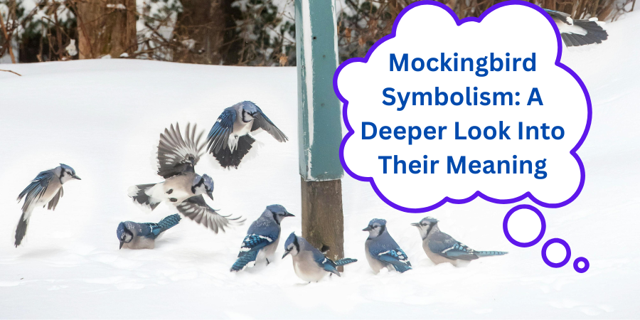 Mockingbird Symbolism: A Deeper Look Into Their Meaning