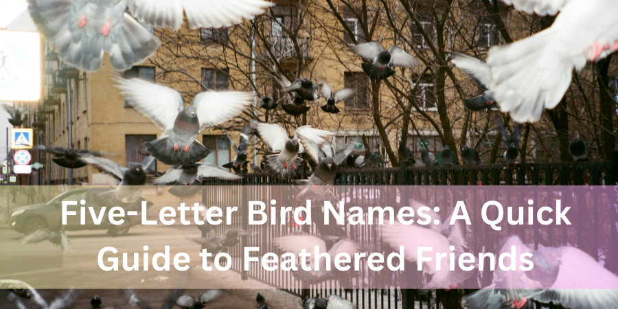 Five-Letter Bird Names: A Quick Guide to Feathered Friends