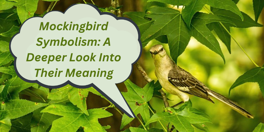 Mockingbird Symbolism A Deeper Look Into Their Meaning