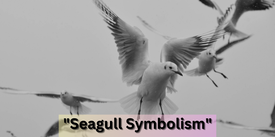 seagull symbolism